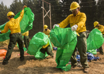 Bombero forestal trabajando frente a un incendio en Estados Unidos