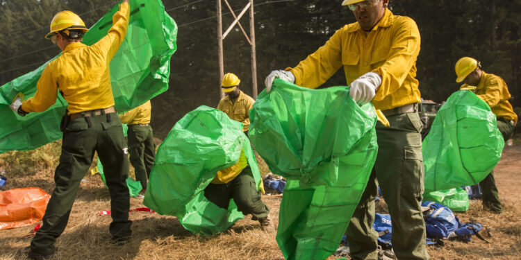 Bombero forestal trabajando frente a un incendio en Estados Unidos