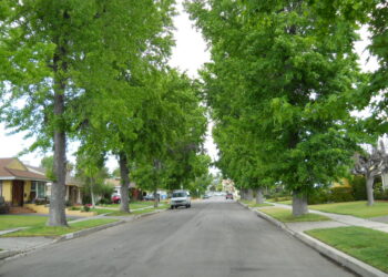 Casas en un vecindario residencial de Estados Unidos