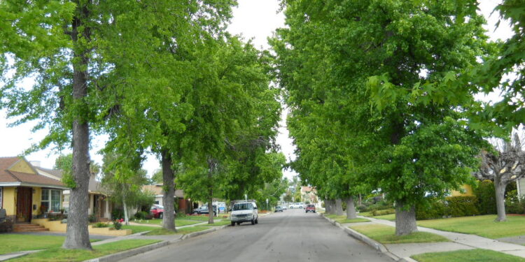 Casas en un vecindario residencial de Estados Unidos