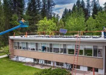 Instalación de paneles solares para crear oportunidades de empleo en el sector renovable