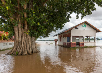 Edificio y árboles rodeados por las aguas de una inundación