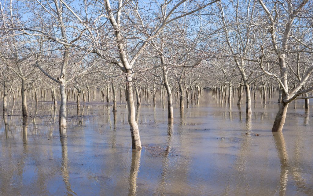 Un terreno cubierto por aguas de inundación, ilustrando las inundaciones en Estados Unidos