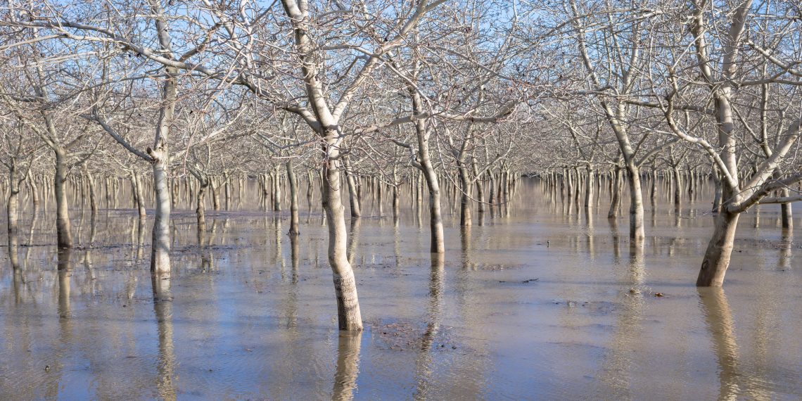 Un terreno cubierto por aguas de inundación, ilustrando las inundaciones en Estados Unidos