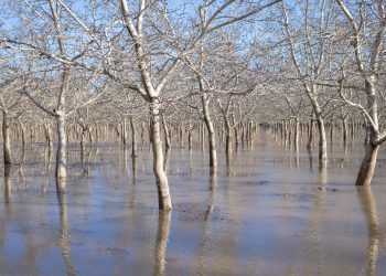Un terreno cubierto por aguas de inundación, ilustrando las inundaciones en Estados Unidos