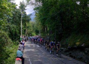 El pelotón de ciclistas durante una etapa del Tour de Francia