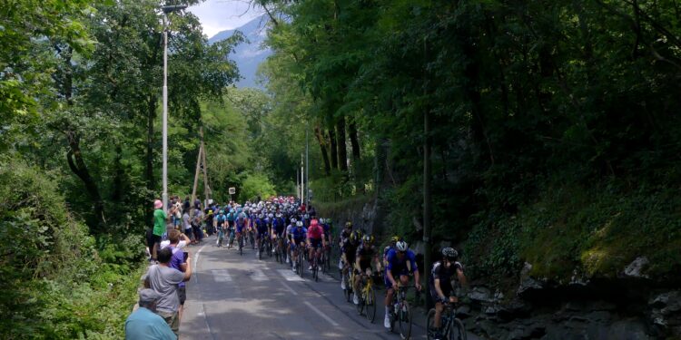 El pelotón de ciclistas durante una etapa del Tour de Francia