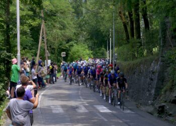 Ciclistas en el pelotón del Tour de Francia