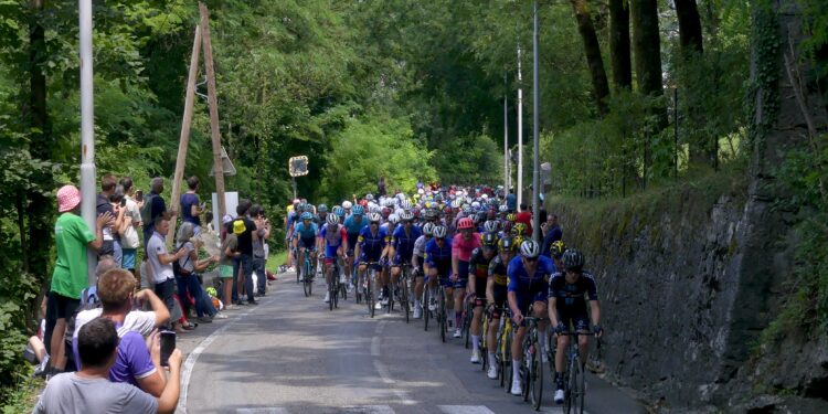 Ciclistas en el pelotón del Tour de Francia