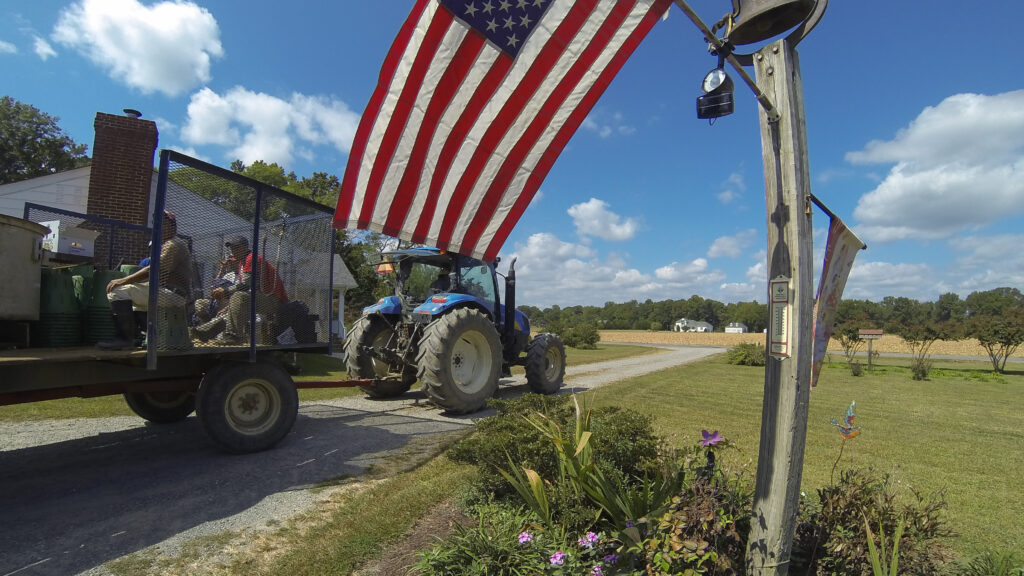 Trabajadores agrícolas cosechando en un campo de cultivo en Estados Unidos