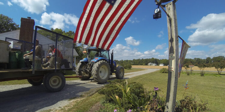 Trabajadores agrícolas cosechando en un campo de cultivo en Estados Unidos
