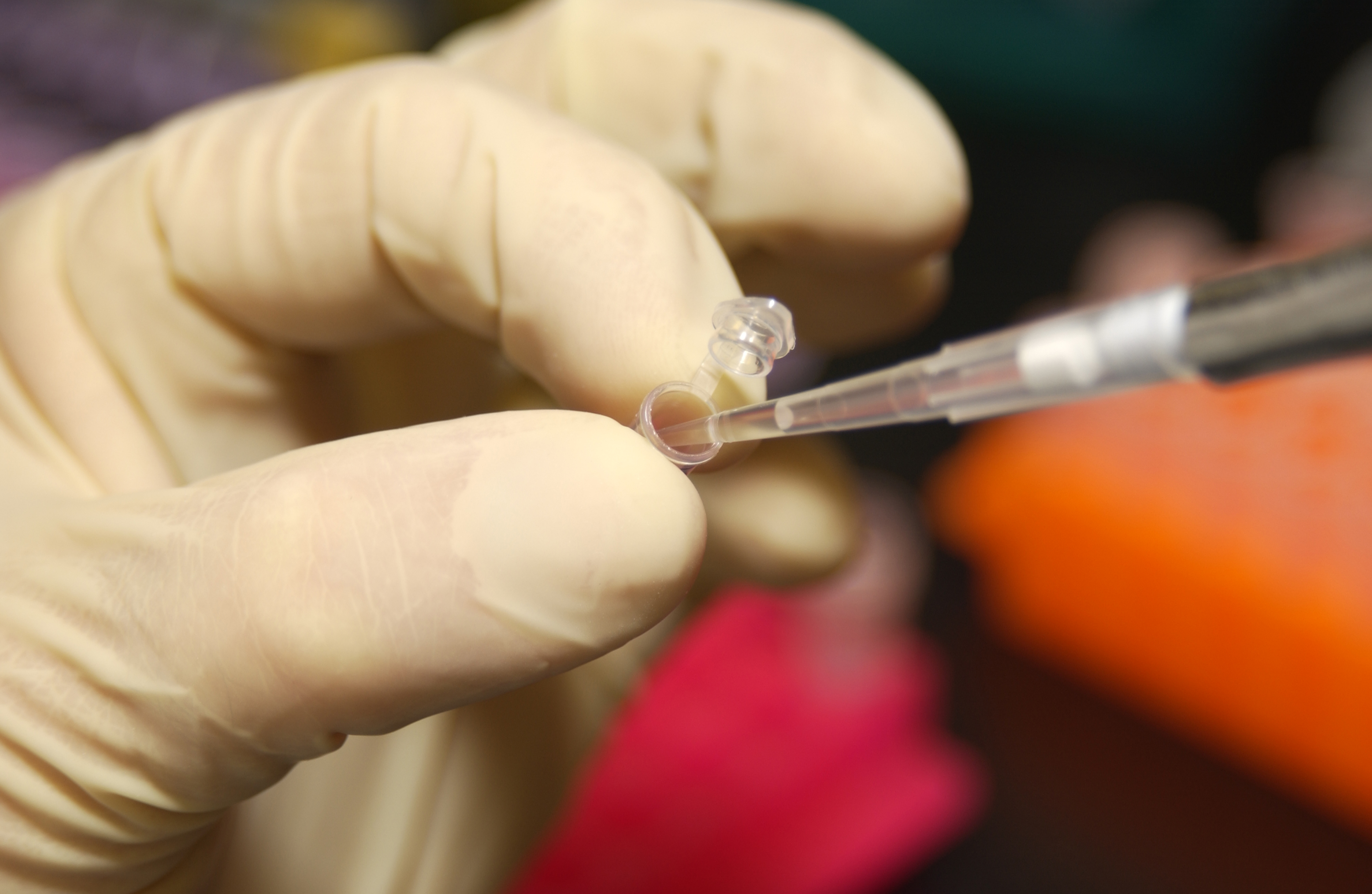 Investigador extrae con una pipeta una muestra de ADN de un tubo de ensayo en un laboratorio