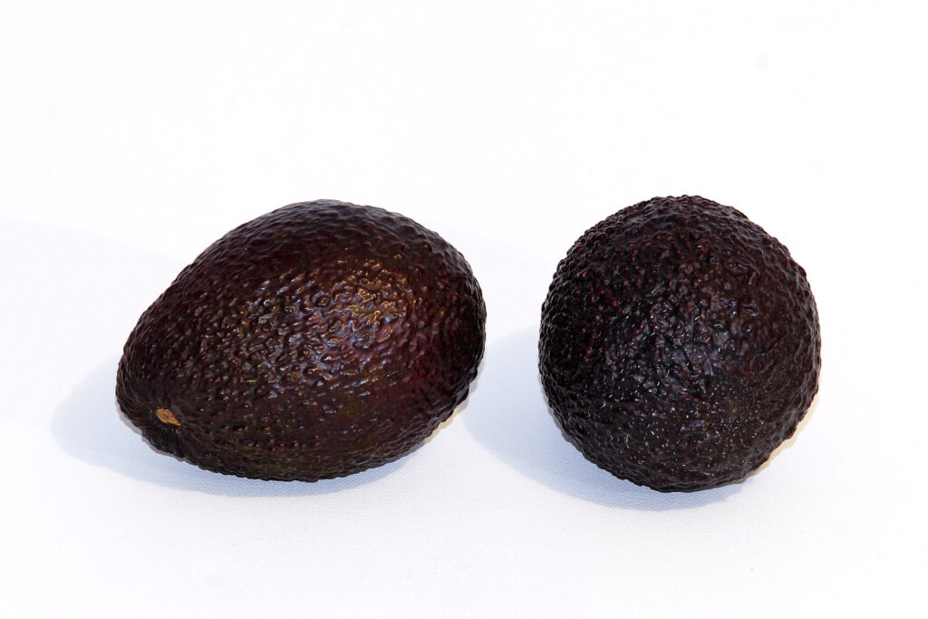 Un aguacate Hass entero y otro cortado por la mitad