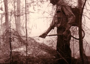 Un bombero forestal trabaja para apagar un incendio entre los árboles