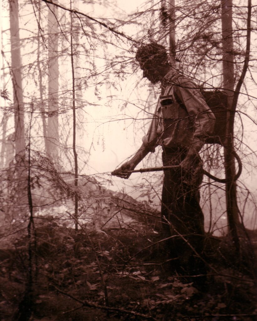 Un bombero forestal trabaja para apagar un incendio entre los árboles