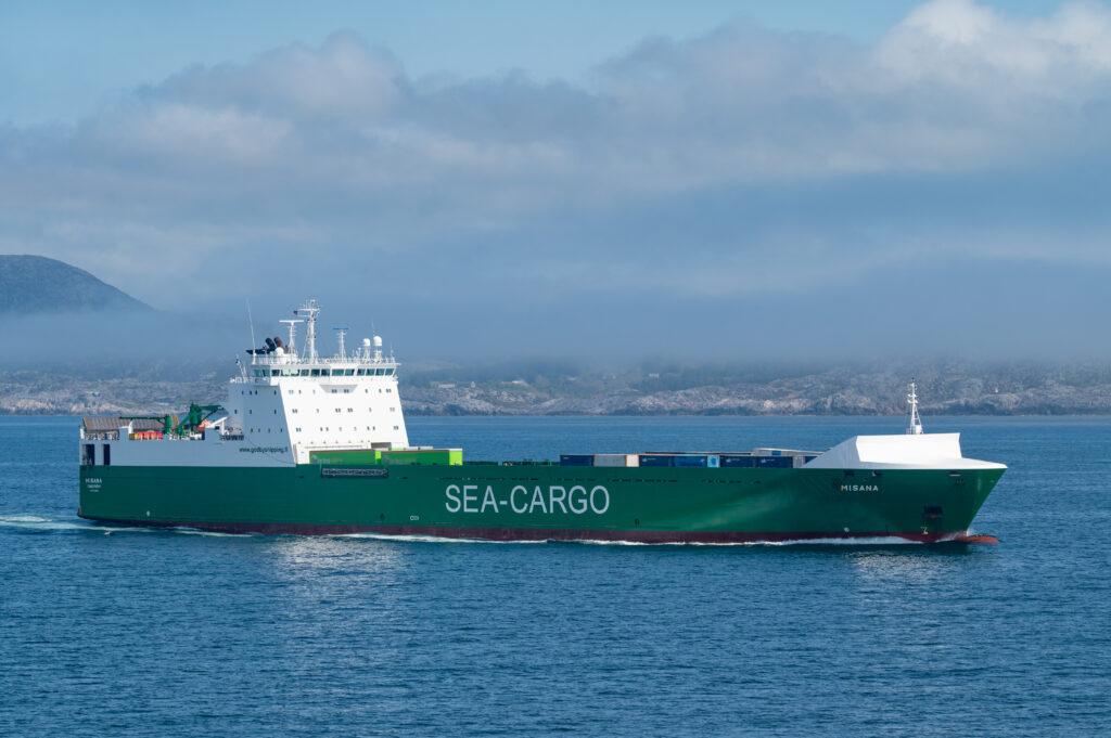 Buque de carga navegando, referencia al ataque en el mar Rojo