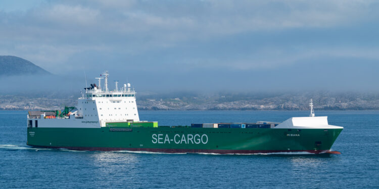 Buque de carga navegando, referencia al ataque en el mar Rojo