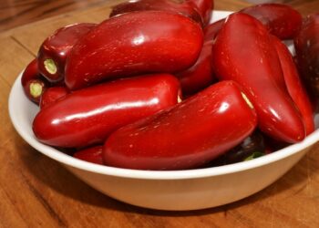 Chiles jalapeños frescos