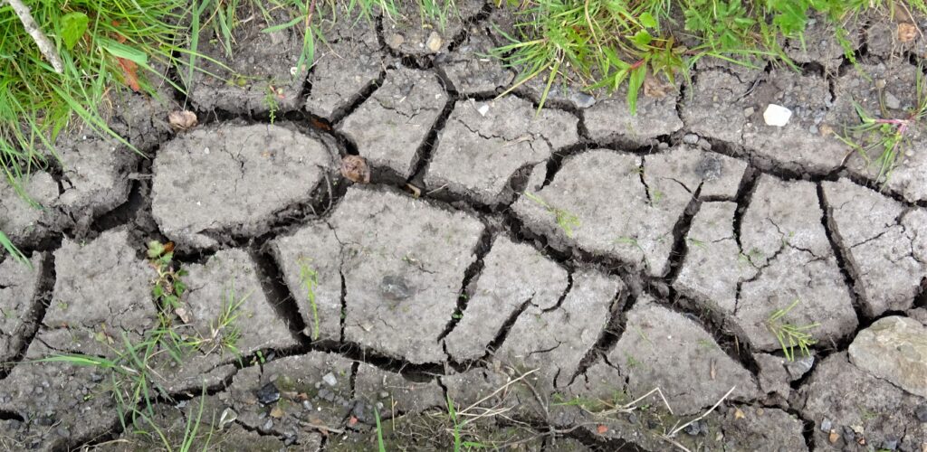 Suelo agrietado por sequía, imagen ilustrativa del fenómeno de El Niño