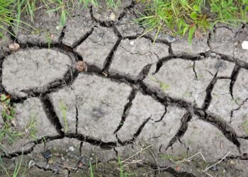Suelo agrietado por sequía, imagen ilustrativa del fenómeno de El Niño
