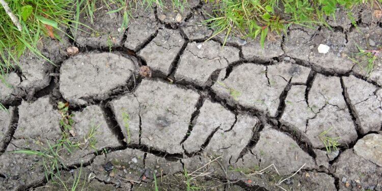 Suelo agrietado por sequía, imagen ilustrativa del fenómeno de El Niño