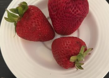 Fresas frescas, imagen ilustrativa sobre precios de productos agrícolas