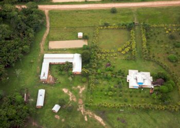 Ganado vacuno en un rancho, tema de las importaciones de reses mexicanas