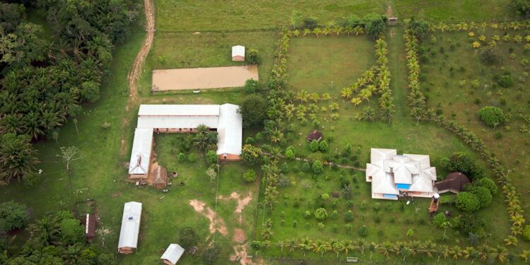 Ganado vacuno en un rancho, tema de las importaciones de reses mexicanas