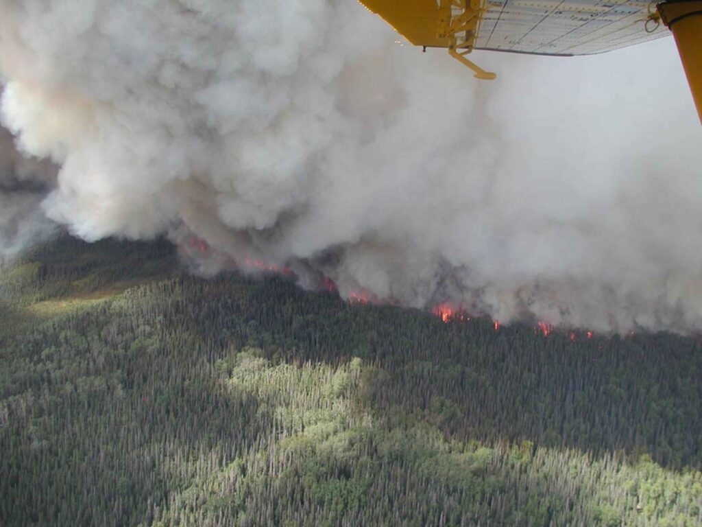 Gran incendio forestal con densas columnas de humo