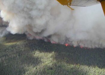 Gran incendio forestal con densas columnas de humo