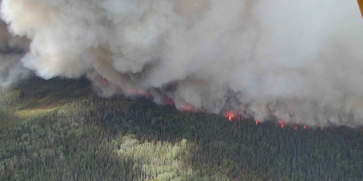 Gran incendio forestal con densas columnas de humo