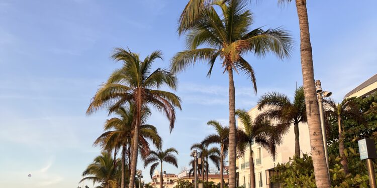 Malecón de Puerto Vallarta, Jalisco, México