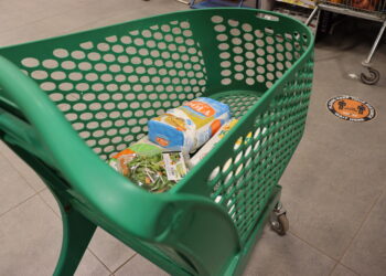 Un carrito de compras en un supermercado, que representa el gasto familiar en alimentos