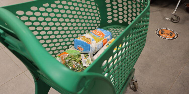 Un carrito de compras en un supermercado, que representa el gasto familiar en alimentos