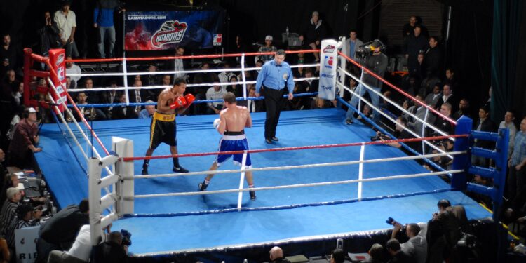 Un ring de boxeo iluminado durante un combate