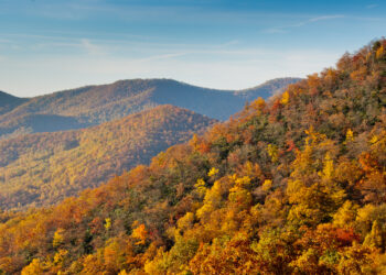 Colores otoñales a lo largo del Blue Ridge Parkway al sur de Asheville, Carolina del Norte